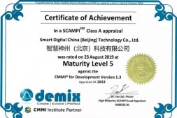 祝贺智慧神州（北京）科技有限公司顺利通过CMMI5认证