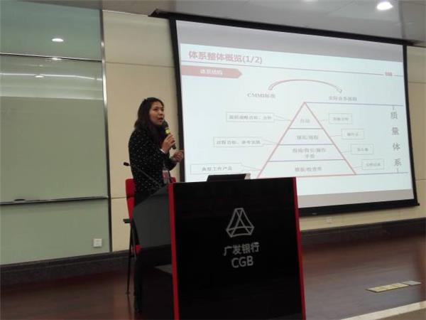 【CMMI】研发过程体系正式发布啦